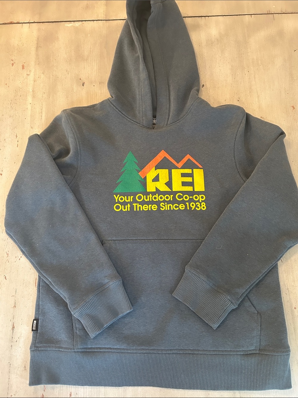 Kids REI Hooded Pullover Sweatshirt in Slate green ish blue with Multicolor Logo
